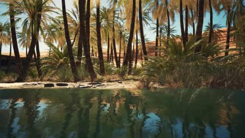 Videohive - Green Oasis with Pond in Sahara Desert - 34249627 - 34249627