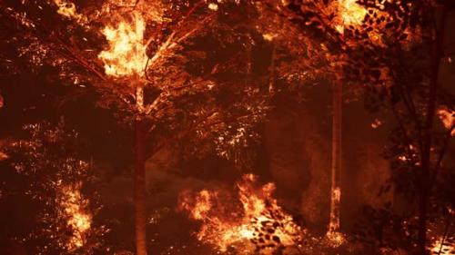 Videohive - Large Flames of Forest Fire at Night - 34249761 - 34249761