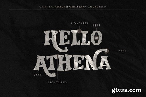 Gentleman Serif Business Font