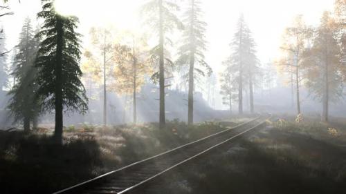 Videohive - Empty Railway Goes Through Foggy Forest in Morning - 34328728 - 34328728