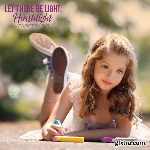 Let There Be Light: Harshlight by Meg Bitton