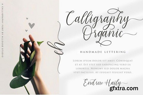 Morpline Calligraphy Font