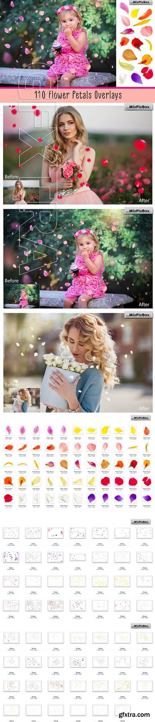 CreativeMarket - Flower Petals Photo Overlays 3399998