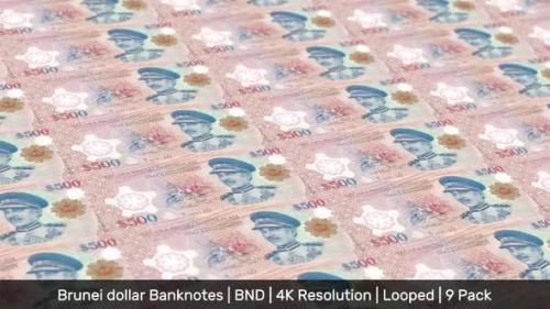 Videohive - Brunei Banknotes / Bruneian Money / Ringgit B$ / BND / 9 Pack - 4K - 34420378 - 34420378