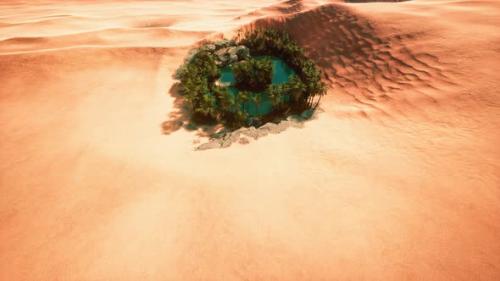 Videohive - Top Down Aerial View of Oasis in Desert - 34449143 - 34449143