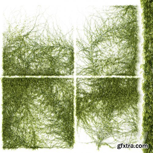 Leaves for walls v3 3D model