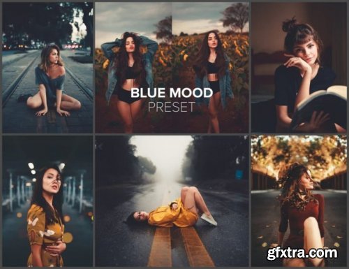 Luizclas - Blue Mood Presets + RAW files/Tutorial