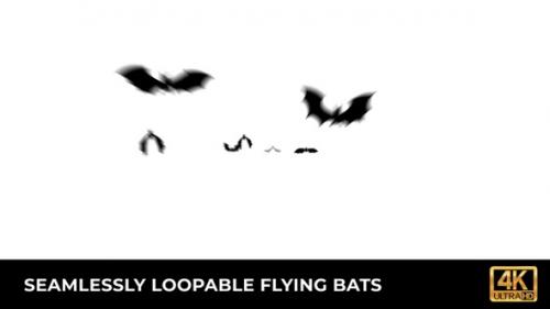 Videohive - Flying Bats Silhouette - 34394599 - 34394599