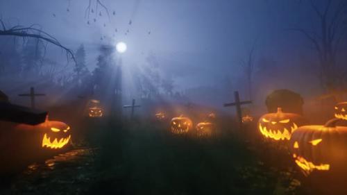 Videohive - Halloween pumpkin field looped 4K - 34343057 - 34343057