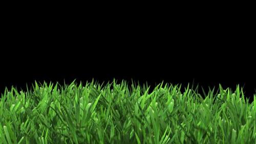 Videohive - Green Grass - 34349694 - 34349694