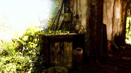 Videohive - Ruined Abandoned Overgrown By Plants Interior - 34336238 - 34336238