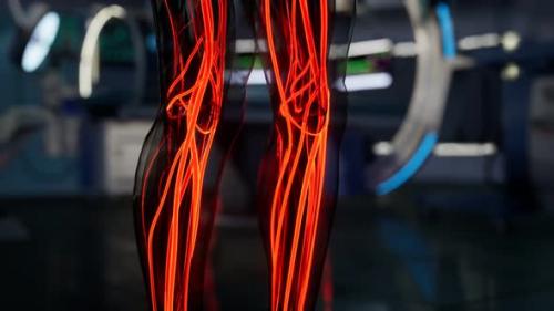 Videohive - Science Anatomy Scan of Human Blood Vessels - 34340335 - 34340335