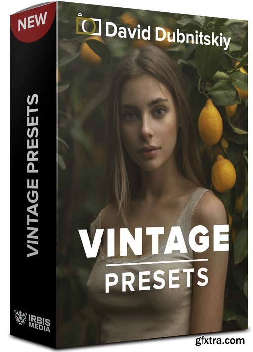 David Dubnitskiy - Vintage Presets