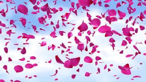 Videohive - Rose Petals falling background - 34348593 - 34348593