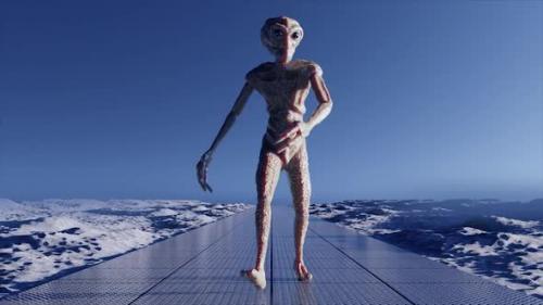 Videohive - Alien 02 Walk Cycle - 34349228 - 34349228