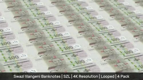 Videohive - Eswatini (Swaziland) Banknotes Money / Swazi lilangeni / Currency E / SZL / 4 Pack - 4K - 34491044 - 34491044