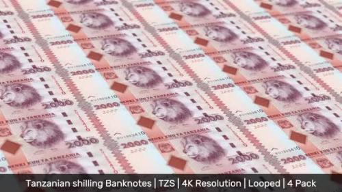 Videohive - Tanzania Banknotes Money / Tanzanian shilling / Currency TSh / TZS / 4 Pack - 4K - 34491263 - 34491263