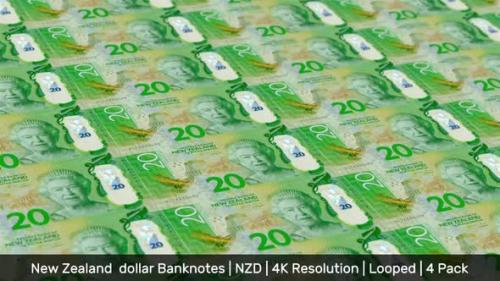 Videohive - New Zealand Banknotes Money / New Zealand dollar / Currency NZ$ / NZD / 4 Pack - 4K - 34491264 - 34491264