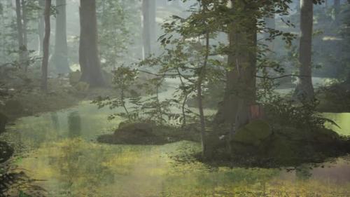 Videohive - Sunrise with Sunbeams Through the Forest By the Lake - 34491423 - 34491423