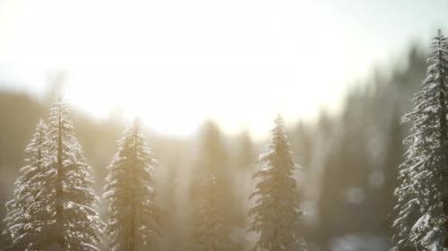 Videohive - Dramatic Winter Sunrise in the Mountains - 34491446 - 34491446