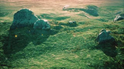 Videohive - Alpine Meadow with Rocks and Green Grass - 34491558 - 34491558