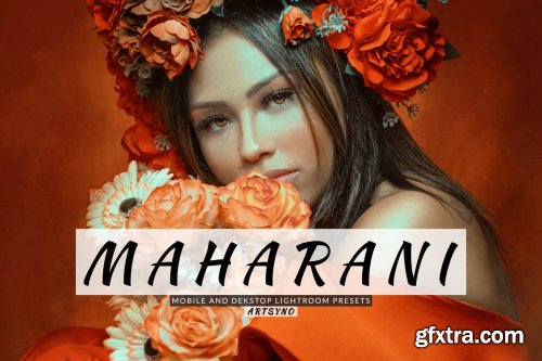 Maharani Lightroom Presets Dekstop and Mobile