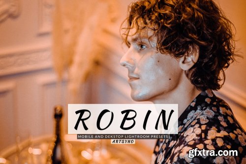 Robin Lightroom Presets Dekstop and Mobile