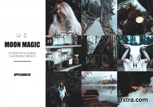 CreativeMarket - The Wonderland Preset Bundle 6333332