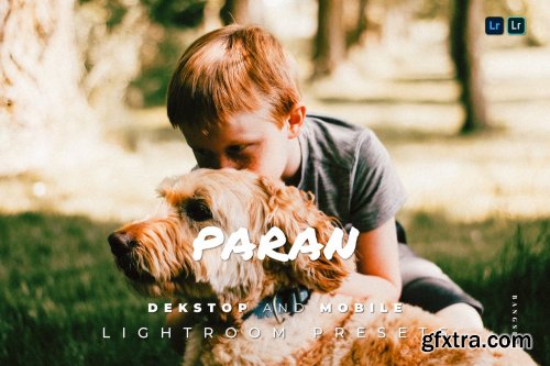 Paran Desktop and Mobile Lightroom Preset