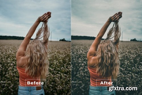 Palap Desktop and Mobile Lightroom Preset