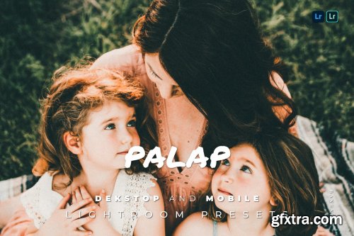 Palap Desktop and Mobile Lightroom Preset