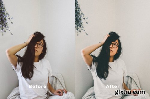 Palap Desktop and Mobile Lightroom Preset