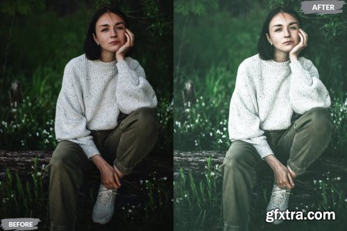 Putri Lightroom Presets Dekstop and Mobile