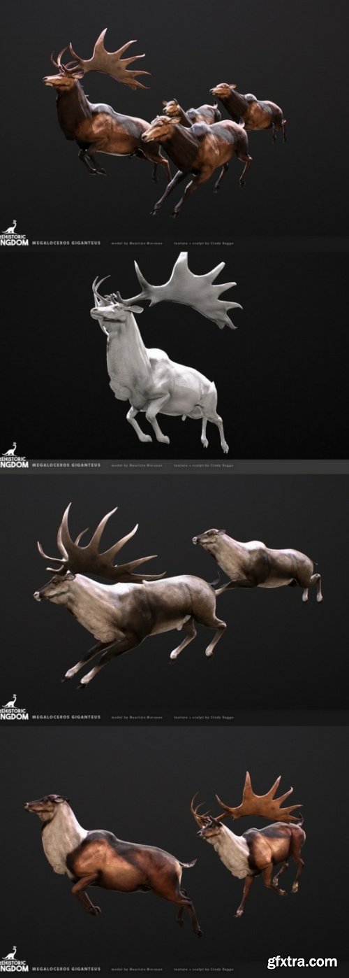 Megaloceros giganteus 3D model