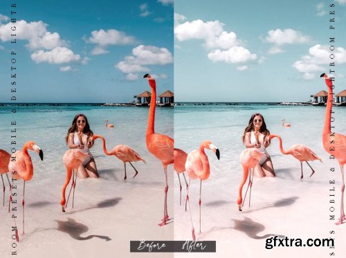 CreativeMarket - EN ARUBA - Lightroom Presets 6451962