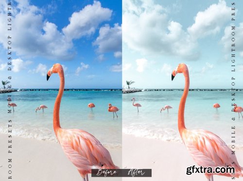 CreativeMarket - EN ARUBA - Lightroom Presets 6451962