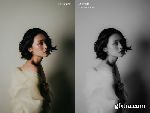 CreativeMarket - Burrow Lightroom's Presets 6468540