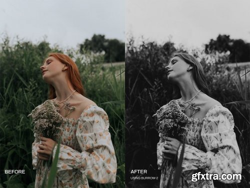 CreativeMarket - Burrow Lightroom's Presets 6468540