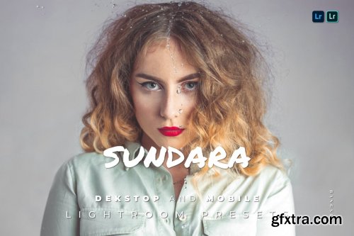 Sundara Desktop and Mobile Lightroom Preset