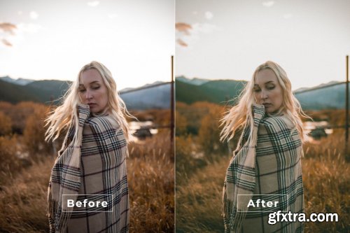 Sundara Desktop and Mobile Lightroom Preset