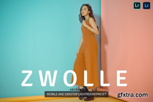 Zwolle Lightroom Presets Dekstop and Mobile