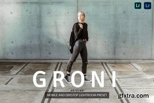 Groni Lightroom Presets Dekstop and Mobile