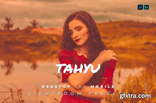 Tahyu Desktop and Mobile Lightroom Preset