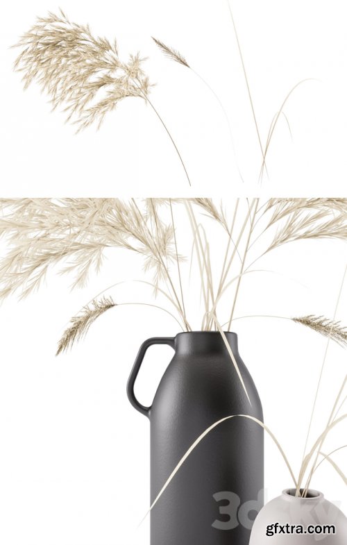 Vases set by H & M with pampas grass