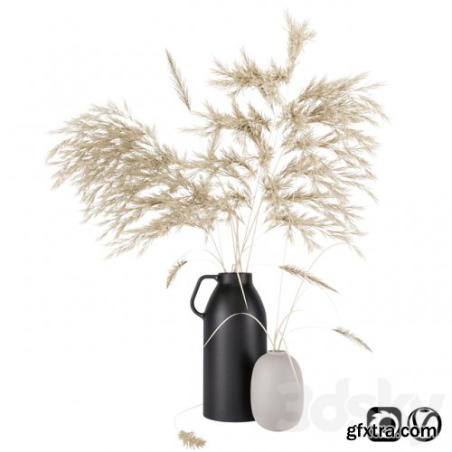 Vases set by H & M with pampas grass