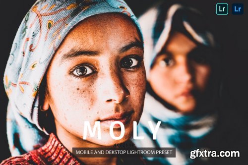 Moly Lightroom Presets Dekstop and Mobile