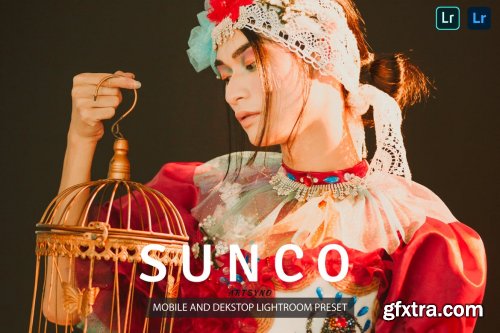 Sunco Lightroom Presets Dekstop and Mobile