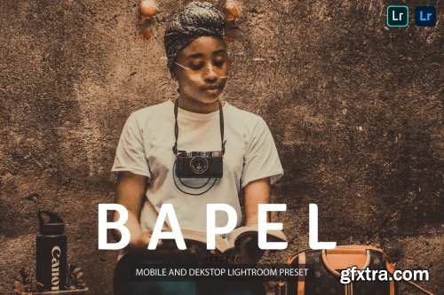 Bapel Lightroom Presets Dekstop and Mobile