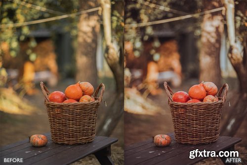 CreativeMarket - Halloween Fall Lightroom Presets 6480769