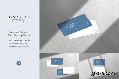 Company Business Card Mockup Vol. 3